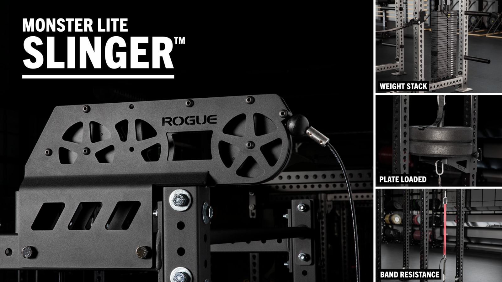 Rogue best sale band weights